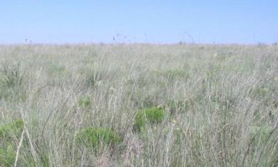 Box image