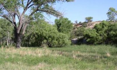Box image