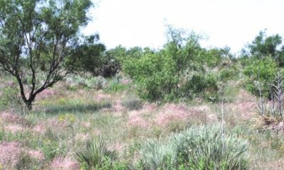 Box image