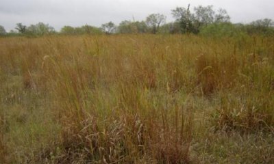 Box image