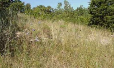 Box image