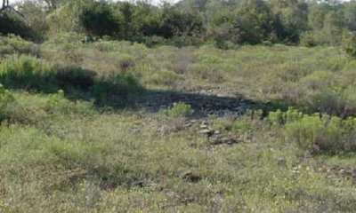 Box image