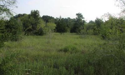 Box image