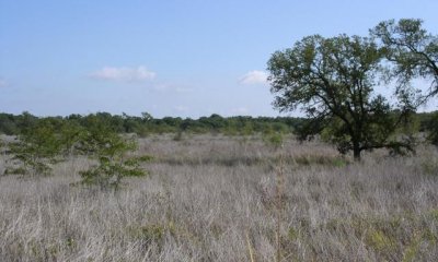 Box image