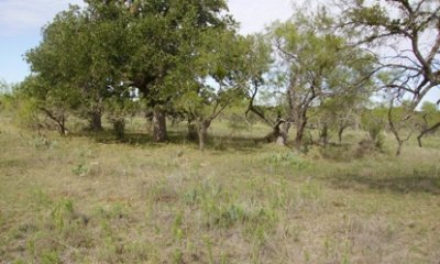 Box image