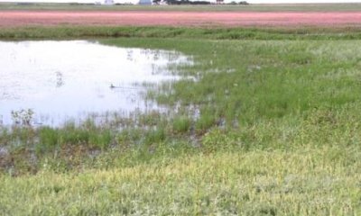Frequent Inundation - Wettest State
