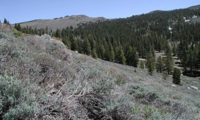 Box image