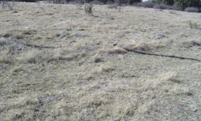 Box image