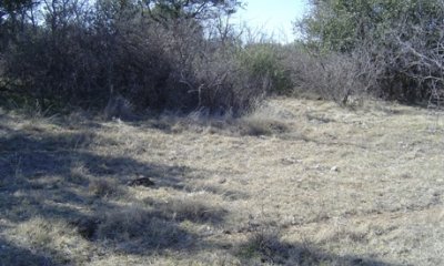 Box image