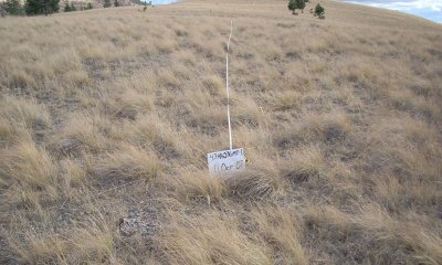 Box image