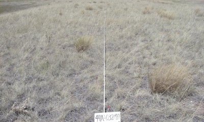 Box image