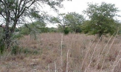 Box image