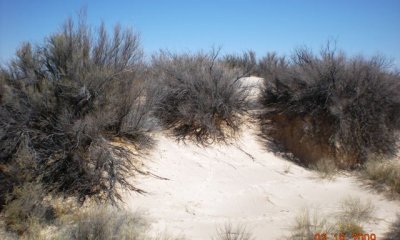 Box image
