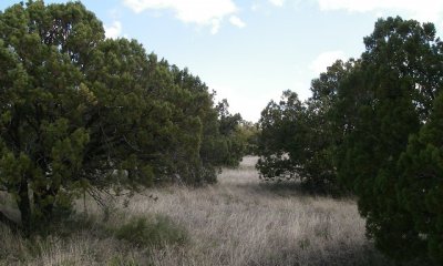 Box image