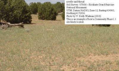 Box image