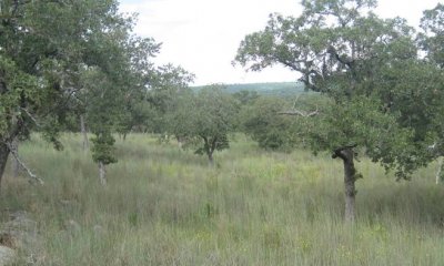 Box image