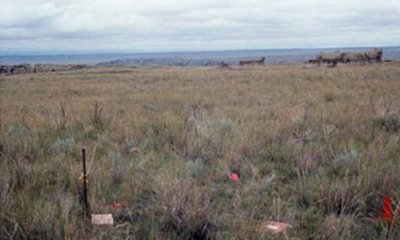 Box image