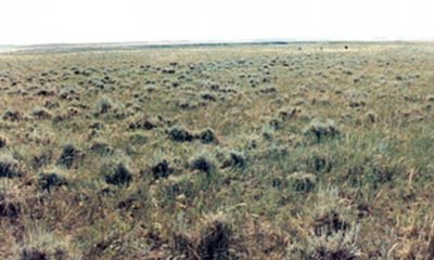 Box image