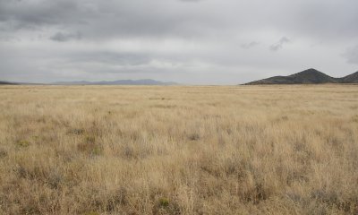 Box image