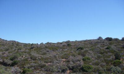Box image