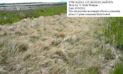 Box image