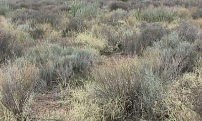 Box image