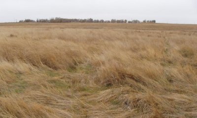 Box image