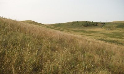 Box image