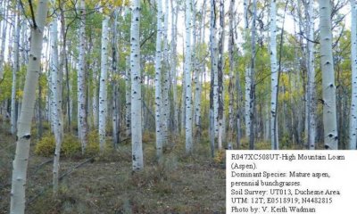 Box image