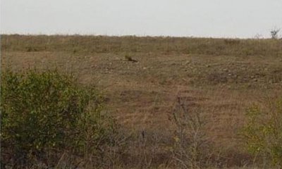 Box image