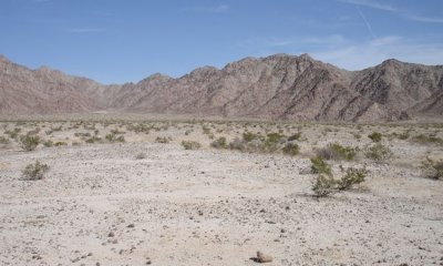 Box image