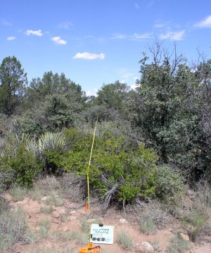Box image