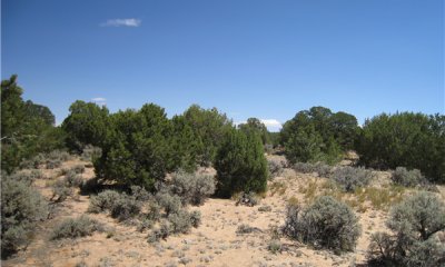 Box image