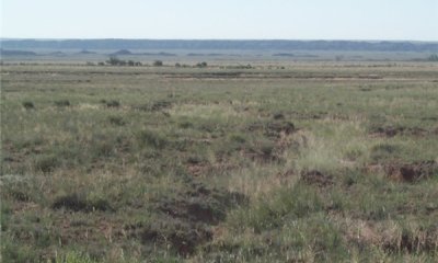 Box image