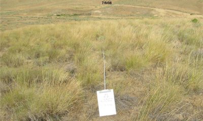 Box image