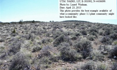 Box image