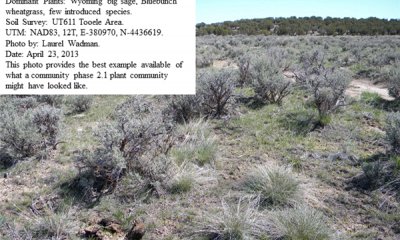 Box image