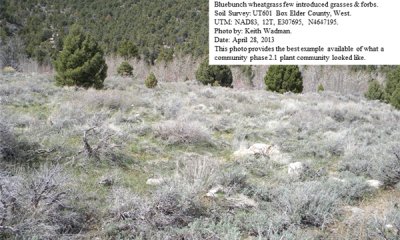 Box image