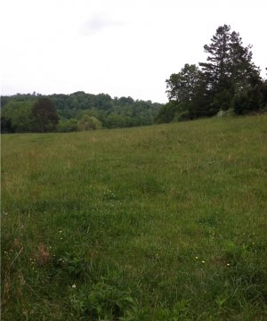 Cleared Grassland State