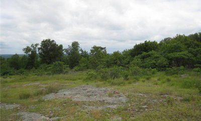 Box image