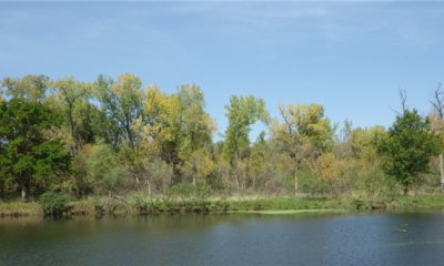 Box image