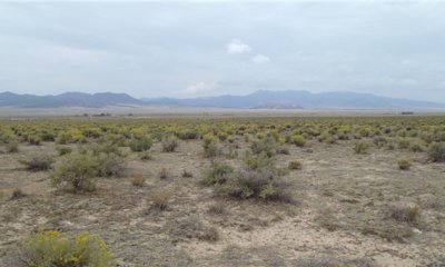 Box image