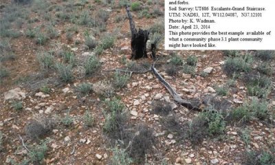 Recent Prescribed or Natural Fire State.