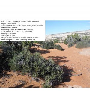 Box image