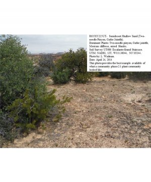 Box image