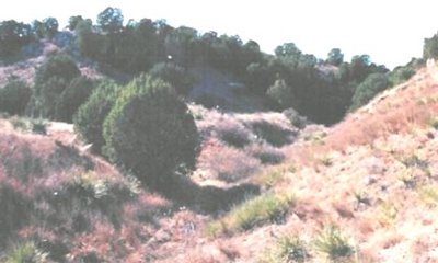 Box image