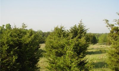 Box image