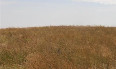 Box image