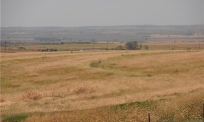 Box image