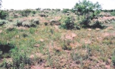 Box image